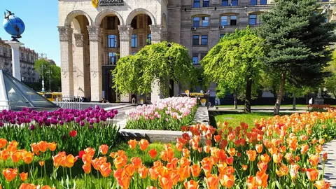 Екоподаток в Україні за 7 місяців 2026 року: зростання на 0,6% та лідерство Києва