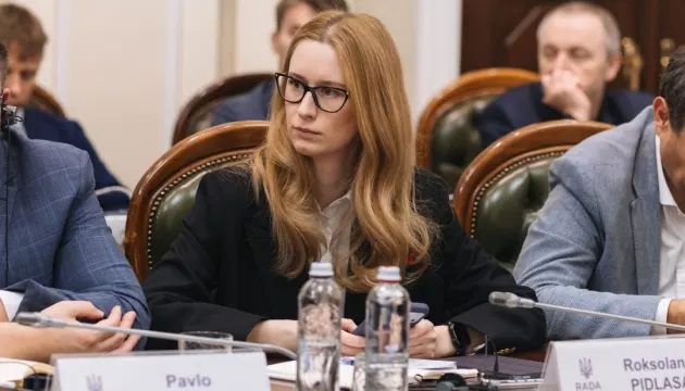 Понад ₴131 млрд доходів бюджету-2027 залежать від рішень Ради — Підласа