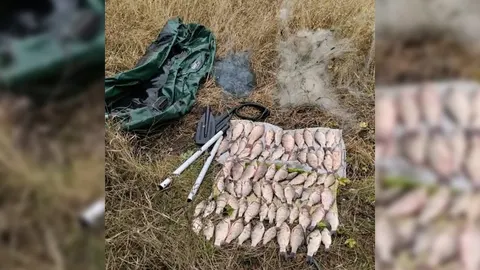 72 карасі на 114 тисяч: на Чернігівщині викрили рибалку із сітками