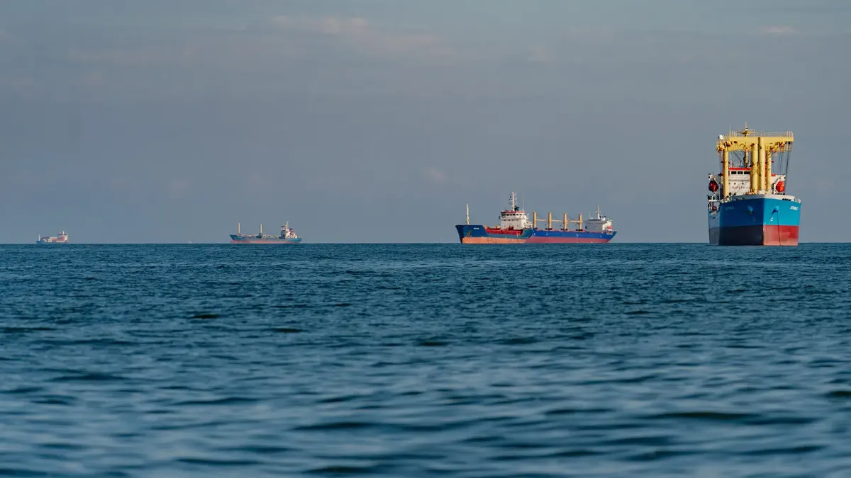 Чорне море як зерновий Ормуз: ціни на пшеницю на трирічному максимумі