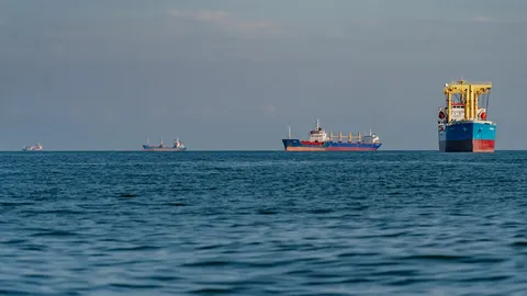 Чорне море як зерновий Ормуз: ціни на пшеницю на трирічному максимумі