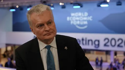 Збитий у Литві дрон — російська «Гербера», що летіла на Україну: що це означає