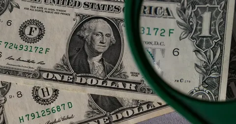 Курс долара може сягнути 50 грн до кінця 2027 року — що це означає для гаманців