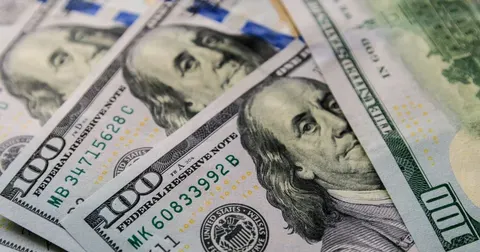 Курс валют 3 вересня: долар — 44,60 грн, євро та злотий також зросли