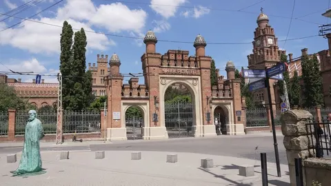 Чернівецький університет зарахував понад 3800 бакалаврів: скільки на бюджет