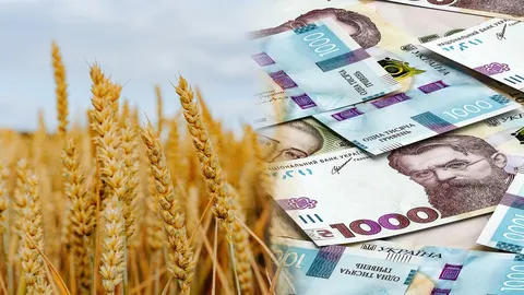 Аграрії Чернігівщини залучили 5,7 млрд грн кредитів від початку року