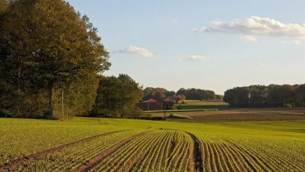 Черкащина зібрала 968 млн грн земельного податку за сім місяців