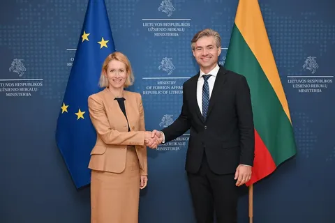 Литва у ЄС: пріоритетом стане прискорення вступу України