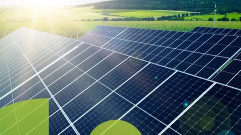 ОТП Банк і DELA ENERGY: нові умови фінансування енергонезалежності бізнесу