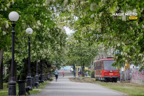 У Дніпрі 30 серпня змінять рух транспорту: що з маршрутами