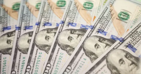 Курс валют на 4 вересня: долар — 44,72 грн, євро — 51,93 грн