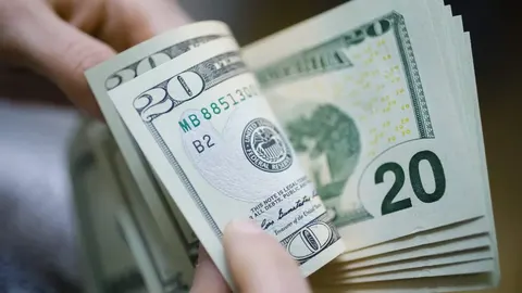Долар тримається біля 44,7 грн: у Харкові продають уже по 45