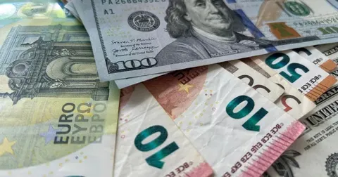 Куди піти на День Незалежності: добірка подій у Чернівцях
