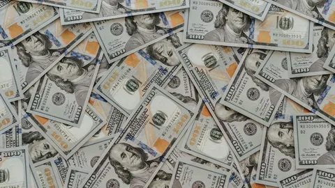 Курс валют на 26 серпня: долар — 44,67 грн, євро — 52,09 грн
