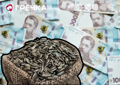 Фіктивний соняшник: бюджет недоотримав 10,2 млн грн податків