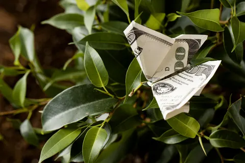 Кредити для бізнесу під час війни: ліміти зросли втричі, але ставки й страховка вирішують усе