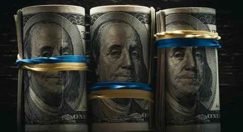 НБУ продав $33 млрд за вісім місяців: що це означає для курсу