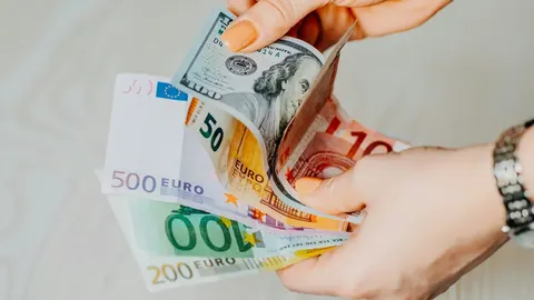 Курс валют на 1 вересня: долар і євро знизилися на міжбанку